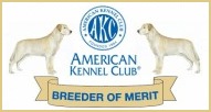 AKC breeder of merit